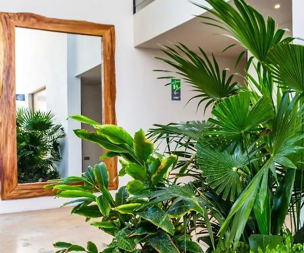 Big At Kaab By The With Roof Pool Near Paseo Del Carmen Mall * Playa del Carmen